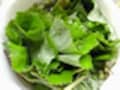 フキづくしのお惣菜は、春の香りがいっぱい！　旬のフキを楽しみましょう