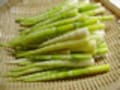 姿よし味よしの山菜　旬のネマガリタケ