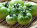 旬のトマトを丸かじり　グリーントマトは初恋の味！