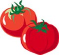 野菜と果物のスペシャリスト　ベジタブル＆フルーツマイスター
