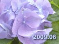 2009年６月　夏の資格ラッシュの様相を呈す