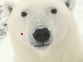 ぶらぶらするのが好きな人にはこの英語