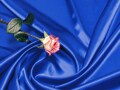 芸術の秋を10倍楽しむための英語