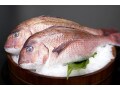 真鯛の下ごしらえ・した処理の料理レシピ！魚一尾を味わい尽くす