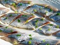 秋の味覚・サンマを食べ尽くすレシピ３　刺身よりおいしい？　しめサンマ