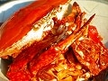 ワタリガニのトマトクリームパスタ