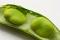 ソラマメを生で食らう