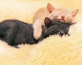 ５秒間のギュ！っで夫婦倦怠期消滅