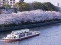 大阪の花見なら「造幣局の桜の通り抜け」！