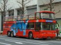 ２階建てオープンバスで桜を愛でる【東京】