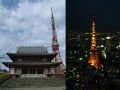 祝開業50周年！東京タワーが見える名所訪問