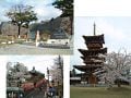 春先に訪ねてみたい日本の世界遺産はここ！