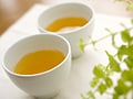 緑茶でロハスな風邪・インフルエンザ予防