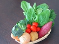 野菜の選び方・保存方法・下ごしらえ一覧表