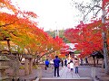 修善寺温泉で紅葉散歩！