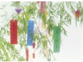 簡単な中学英語だけ！ 七夕を説明しよう【由来や伝説】