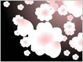 夜桜のアニメーションを作成