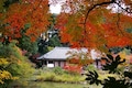 この秋お勧め！関西の仏像をめぐる三つの旅
