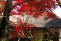 京都の紅葉はここが穴場だ！その１．西山編