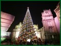 ユニバーサル・スタジオ・ジャパンのクリスマス　日本一のクリスマスツリー登場！