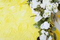 愛もお金も優しさもなくちゃ！　恋愛相手と結婚相手は違うか？