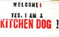 こだわりの店『KITCHEN DOG!』