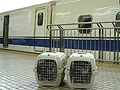 犬とゆく兵庫・岡山の旅
