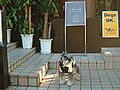 用賀にある犬ＯＫの素敵なカフェ