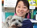 東洋医学を併用した犬にやさしい治療