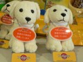 ぺディグリー盲導犬パピー命名式