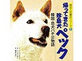 韓国の天然記念物である珍島犬ペックの物語