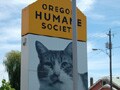 Oregon Humane Societyレポート　その２