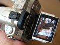 SONY　α３００ライブビューで猫を写す！