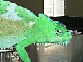 ヨツヅノカメレオン