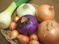 たまねぎ（玉葱）の栄養・選び方・保存方法
