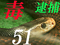 毒ヘビ51匹事件