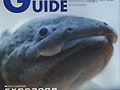 地味？派手？ビバガ最新刊レビュー！