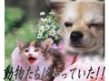 ペットの行動に注意！　地震予知？動物たちは知っていた