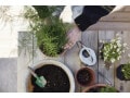 ダブルデッカーのやり方！ 春を彩る植え付け方法