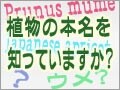 学名と親しもう　植物の本名を知っていますか？