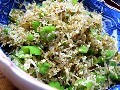 簡単常備菜：炒りシシトウおじゃこ