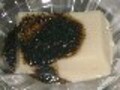 有田名物　【ごどうふ】の簡単レシピ