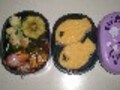 涼しいオフィスで食べる夏ランチ・お弁当