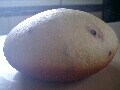炊飯器パンの簡単レシピ こね3分のお釜パン