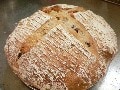 酒粕種でパン作り（4） ドライフルーツパン