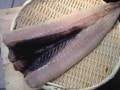 エンザラを焼き魚でいただく！房総沖の幻の美味魚