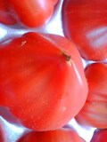 オテル・ド・ミクニにも卸されている逸品　野生派トマト　狼桃