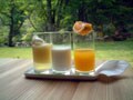 温泉宿は和食ばかりじゃない　「温泉でフレンチ」の提案