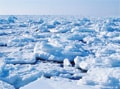 知床の温泉宿で眺めたい「流氷」の絶景！