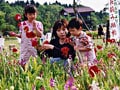 子供と花摘み、おすすめスポット〔牛久大仏（茨城）〕　花摘み＆世界一の大仏＆動物公園